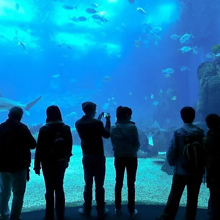 Lägenhet Casa Gil *