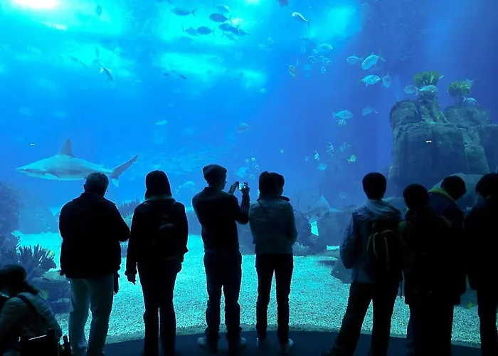 Apartment Casa Gil *